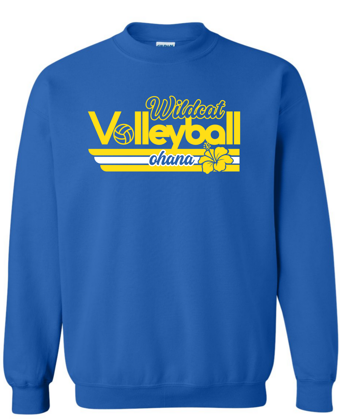 Wildcat Volleyball