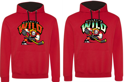 Two Tone Hoodie