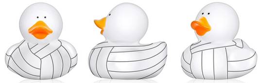 Volleyball Ducks